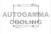 AUTOGAMMA 104134 Radiator, engine cooling